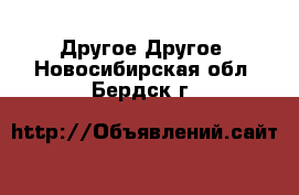 Другое Другое. Новосибирская обл.,Бердск г.